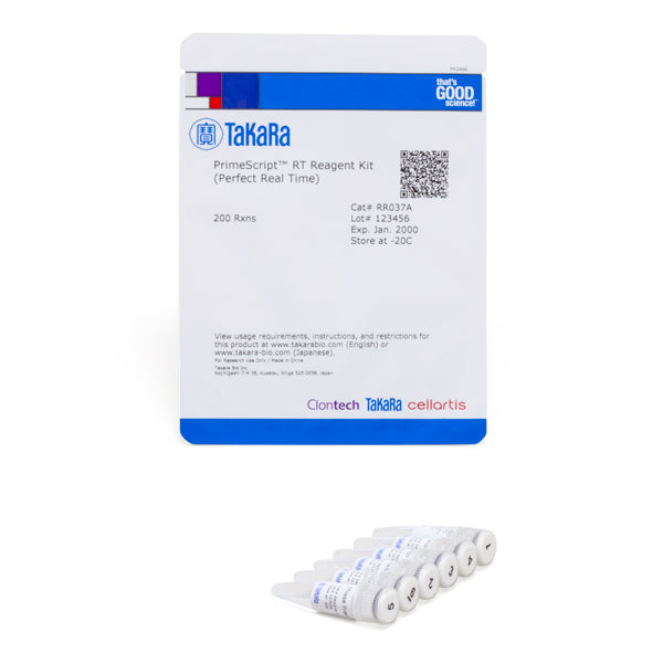 PrimeScript™ RT Reagent Kit (Perfect Real Time) RR037A - Real-time PCR - Takara Bio