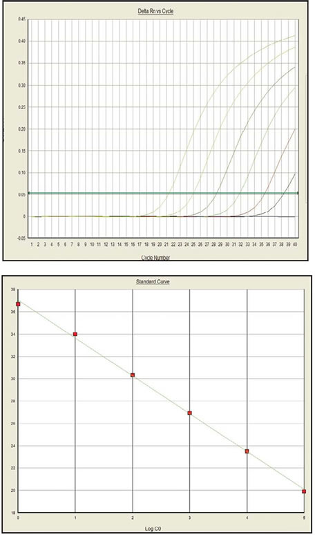 Premix Ex Taq™ DNA Polymerase (Perfect Real Time), 25 mL RR039W - Real-time PCR - Takara Bio