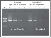 SpeedSTAR™ HS DNA Polymerase RR070B - PCR - Takara Bio
