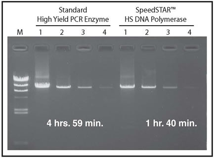SpeedSTAR™ HS DNA Polymerase RR070B - PCR - Takara Bio