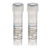 Ready-Lyse Lysozyme Solution R1810 - Nucleic Acid Sample Preparation - Biosearch Technologies