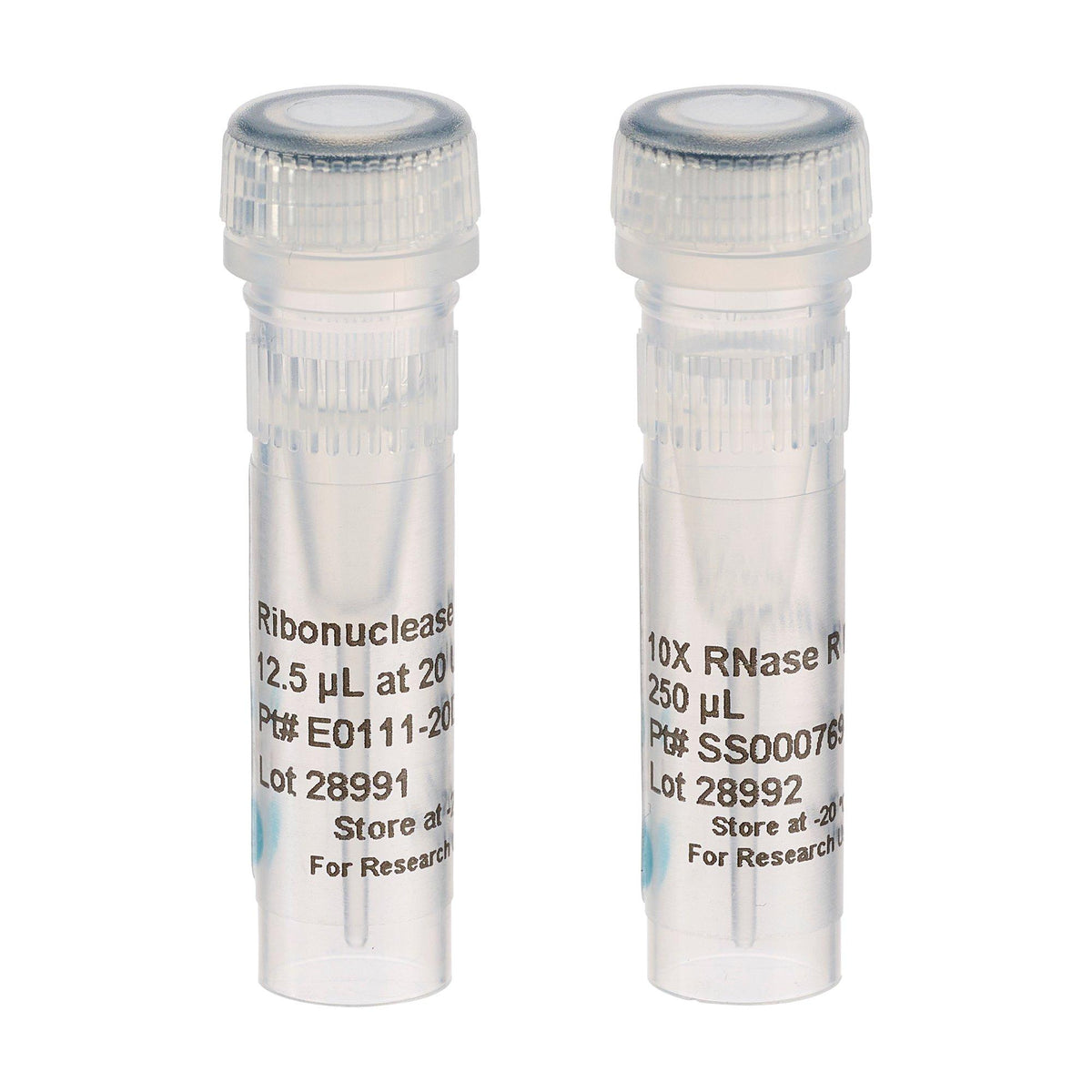 Ribonuclease R (RNase R) NXGENZ-010 - Molecular biology enzymes - Biosearch Technologies