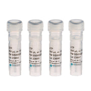 Ribonucleoside-5'-Triphosphate Solutions RN02825 - Molecular biology enzymes - Biosearch Technologies