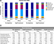 SMART-Seq® Total RNA Library Prep with ZapR® Depletion 634359 - Next-generation sequencing - Takara Bio