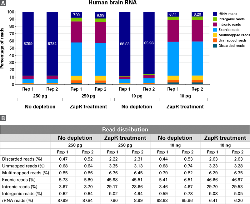 SMART-Seq® Total RNA Library Prep with ZapR® Depletion 634359 - Next-generation sequencing - Takara Bio