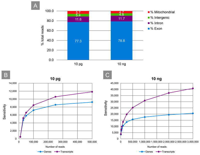 SMART-Seq® mRNA Long Read 634377 - Next-generation sequencing - Takara Bio