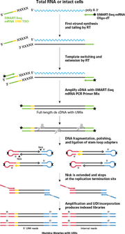SMART-Seq® mRNA LP (with UMIs) 634766 - Next-generation sequencing - Takara Bio