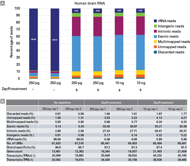SMART-Seq® Total RNA Library Prep with ZapR® Depletion (with UMIs) 634356 - Next-generation sequencing - Takara Bio
