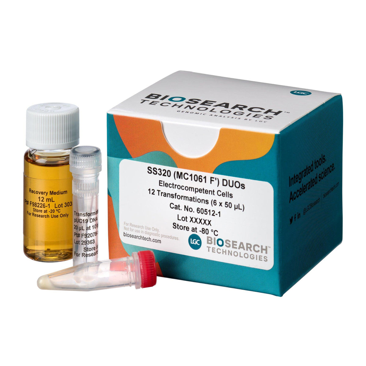 SS320 (MC1061 F') Electrocompetent Cells COMCEL-013 - Competent cells for transformation - Biosearch Technologies