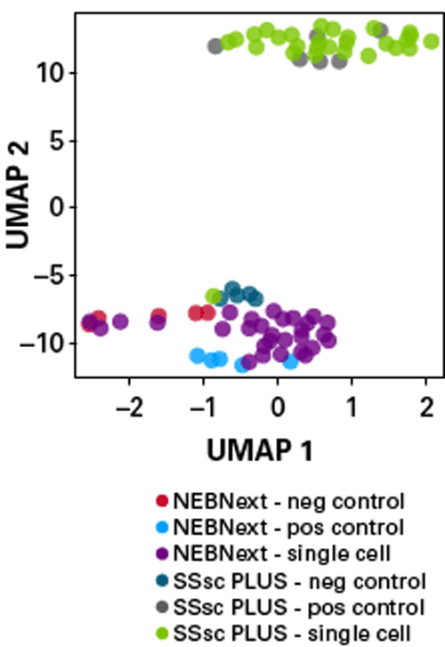 SMART-Seq® mRNA Single Cell 634790 - Next-generation sequencing - Takara Bio