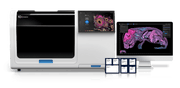 Xenium Prime 5K Add-on Custom 51 to 100 Gene Panel (12 rxns) 1000766 - 10x Genomics