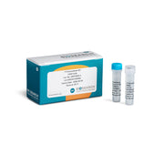 T7 Exonuclease Kit PCRAMP-103 - Uncategorized - Biosearch Technologies