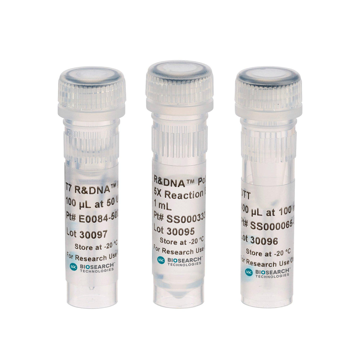 T7 R&DNA Polymerase D7P9205K - Molecular biology enzymes - Biosearch Technologies