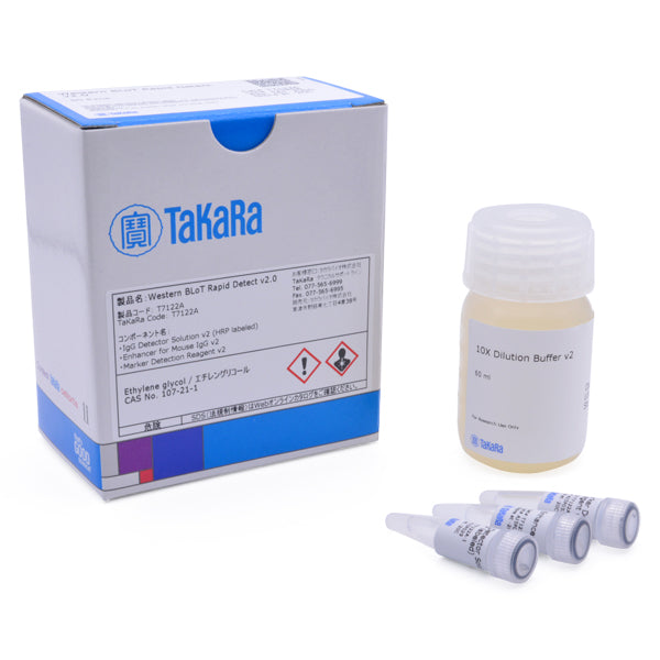 Western BLoT Rapid Detect v2.0 T7122A - Protein research - Takara Bio