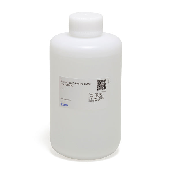 Western BLoT Blocking Buffer (Fish Gelatin) T7131A - Protein research - Takara Bio