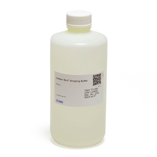 Western BLoT Stripping Buffer T7135A - Protein research - Takara Bio