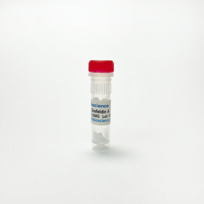 Brefeldin A, Inhibits intracellular transport TBI1071 - Biochemical Inhibitors - TriBioScience