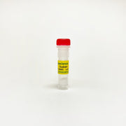 Ouabain, Na+ K+ ATPase inhibitor TBI1248 - Biochemical Inhibitors - TriBioScience