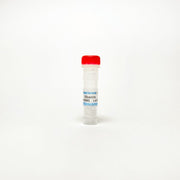 Ribavirin, Antiviral agent TBI1281 - Biochemical Inhibitors - TriBioScience