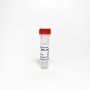 BML-288, PDE2 Inhibitor TBI1319 - Biochemical Inhibitors - TriBioScience