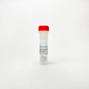 Apomorphine HCl, Dopamine agonist TBI1338 - Biochemical Inhibitors - TriBioScience