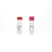 DZNep, Methyltransferase inhibitor TBI1524 - Biochemical Inhibitors - TriBioScience