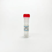 ISRIB, Integrated stress response inhibitor TBI1539 - Biochemical Inhibitors - TriBioScience