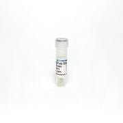 Bay 60-7550 (Bay607550), PDE2 inhibitor TBI1734 - Biochemical Inhibitors - TriBioScience