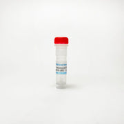 Ionomycin Calcium, Ca2+ ionophore TBI2078 - Biochemical Inhibitors - TriBioScience