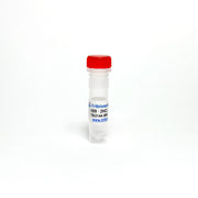 H89 · 2HCl, PKA inhibitor TBI2144 - Biochemical Inhibitors - TriBioScience