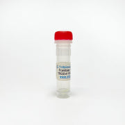Tranilast, NFkB inhibitor TBI2234 - Biochemical Inhibitors - TriBioScience