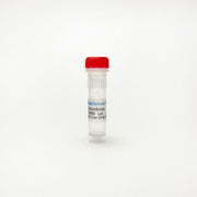 Zerumbone, Apoptosis enhancer TBI2247 - Biochemical Inhibitors - TriBioScience