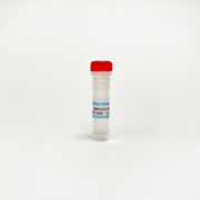 Betulinic acid, Mitochondrial permeability pore activator TBI2278 - Biochemical Inhibitors - TriBioScience
