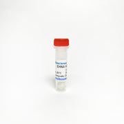 EHNA Hydrochloride, PDE2 and ADA Inhibitor TBI2438 - Biochemical Inhibitors - TriBioScience