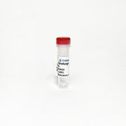 Sinefungin, Methyltransferase inhibitor TBI2454 - Biochemical Inhibitors - TriBioScience
