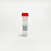 Blasticidin S HCl, Antibiotic selection agent TBI2830 - Biochemical Inhibitors - TriBioScience