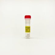 SLU-PP-332, pan-ERR agonist/Exercise mimetic TBI3948 - Biochemical Inhibitors - TriBioScience