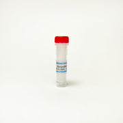 Bempedoic acid, ATP citrate lyase inhibitor TBI4114 - Biochemical Inhibitors - TriBioScience