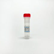 CGP-37157, Mitochondrial Na+/Ca2+ exchanger inhibitor TBI4250 - Biochemical Inhibitors - TriBioScience