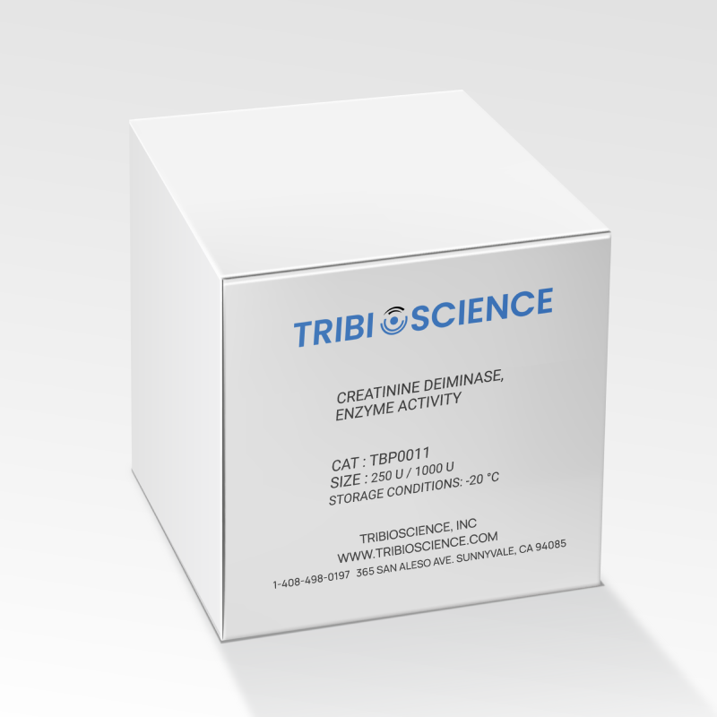 Creatinine deiminase, Enzyme Activity TBP0011 - Protein & Peptide - TriBioScience