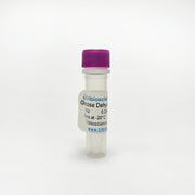 Glucose dehydrogenase(PQQ-dependent), Enzyme Activity TBP0021 - Protein & Peptide - TriBioScience