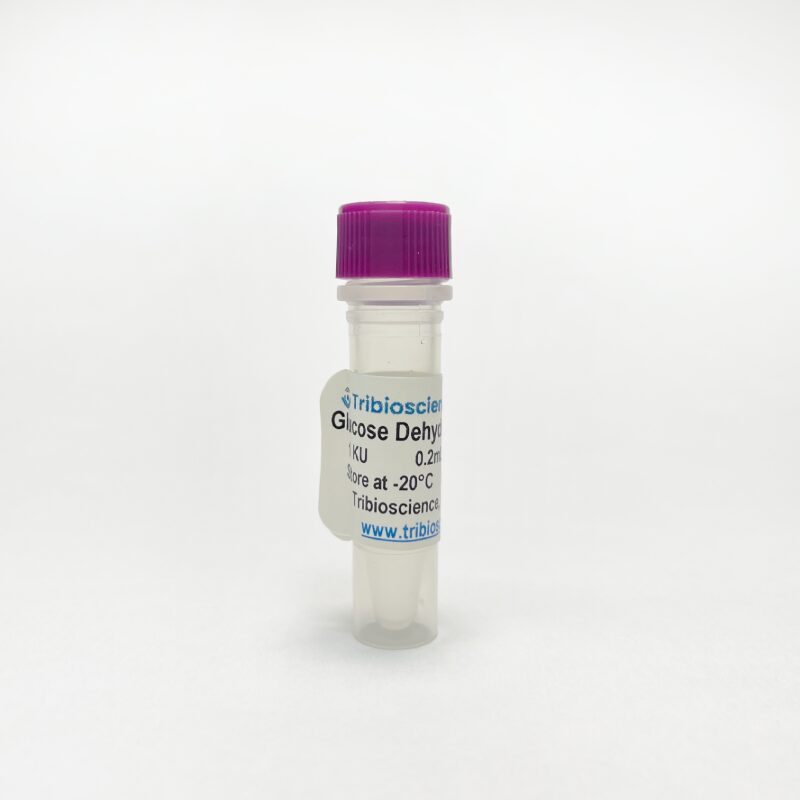 Glucose dehydrogenase(PQQ-dependent), Enzyme Activity TBP0021 - Protein & Peptide - TriBioScience