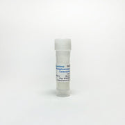 Phosphoenolpyruvate carboxylase, Enzyme Activity TBP0039 - Protein & Peptide - TriBioScience