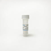 Uricase, Enzyme Activity TBP0043 - Protein & Peptide - TriBioScience