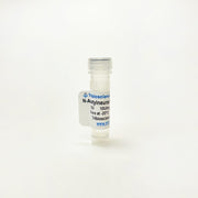 N-Acetylneuraminic acid aldolase, Enzyme Activity TBP0046 - Protein & Peptide - TriBioScience