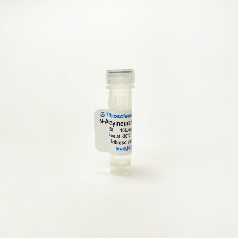 N-Acetylneuraminic acid aldolase, Enzyme Activity TBP0046 - Protein & Peptide - TriBioScience