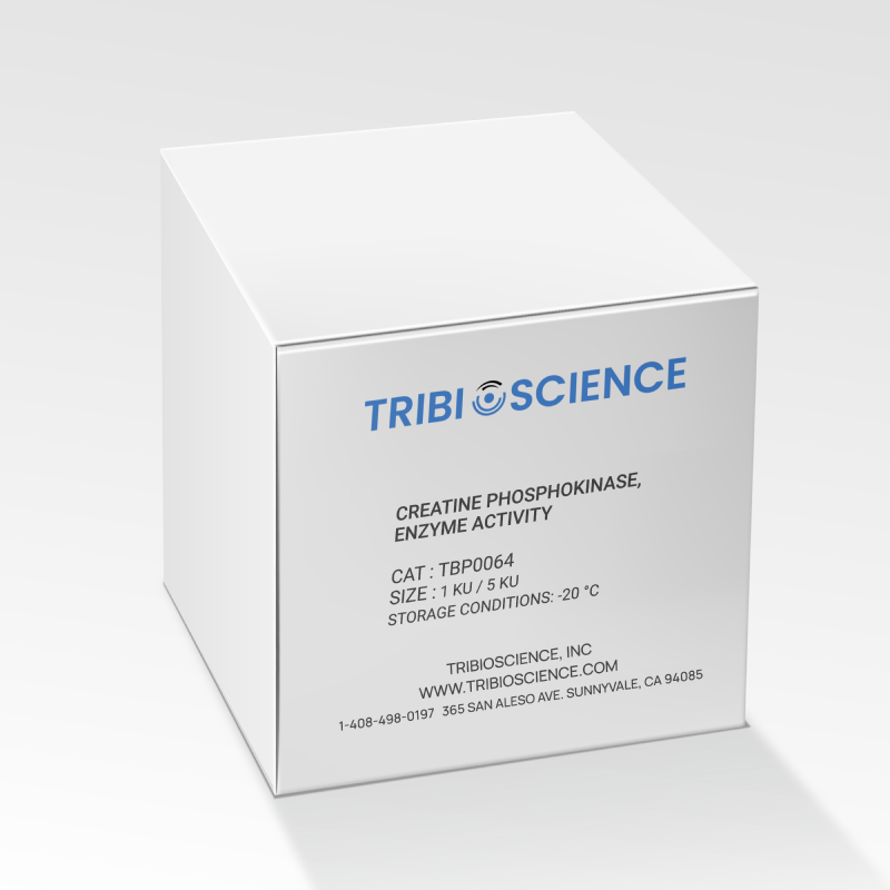 Creatine Phosphokinase, Enzyme Activity TBP0064 - Protein & Peptide - TriBioScience