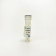 Lipoamide Dehydrogenase, Enzyme Activity TBP0078 - Protein & Peptide - TriBioScience