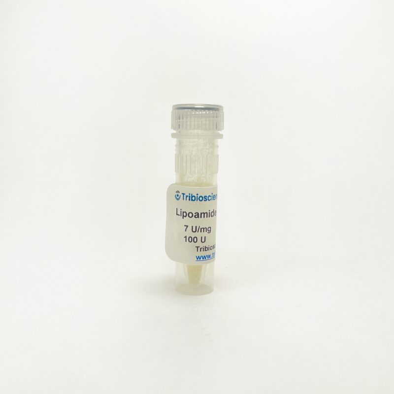 Lipoamide Dehydrogenase, Enzyme Activity TBP0078 - Protein & Peptide - TriBioScience