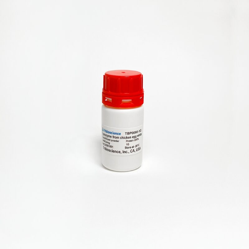 Lysozyme, Enzyme Activity TBP0080 - Protein & Peptide - TriBioScience